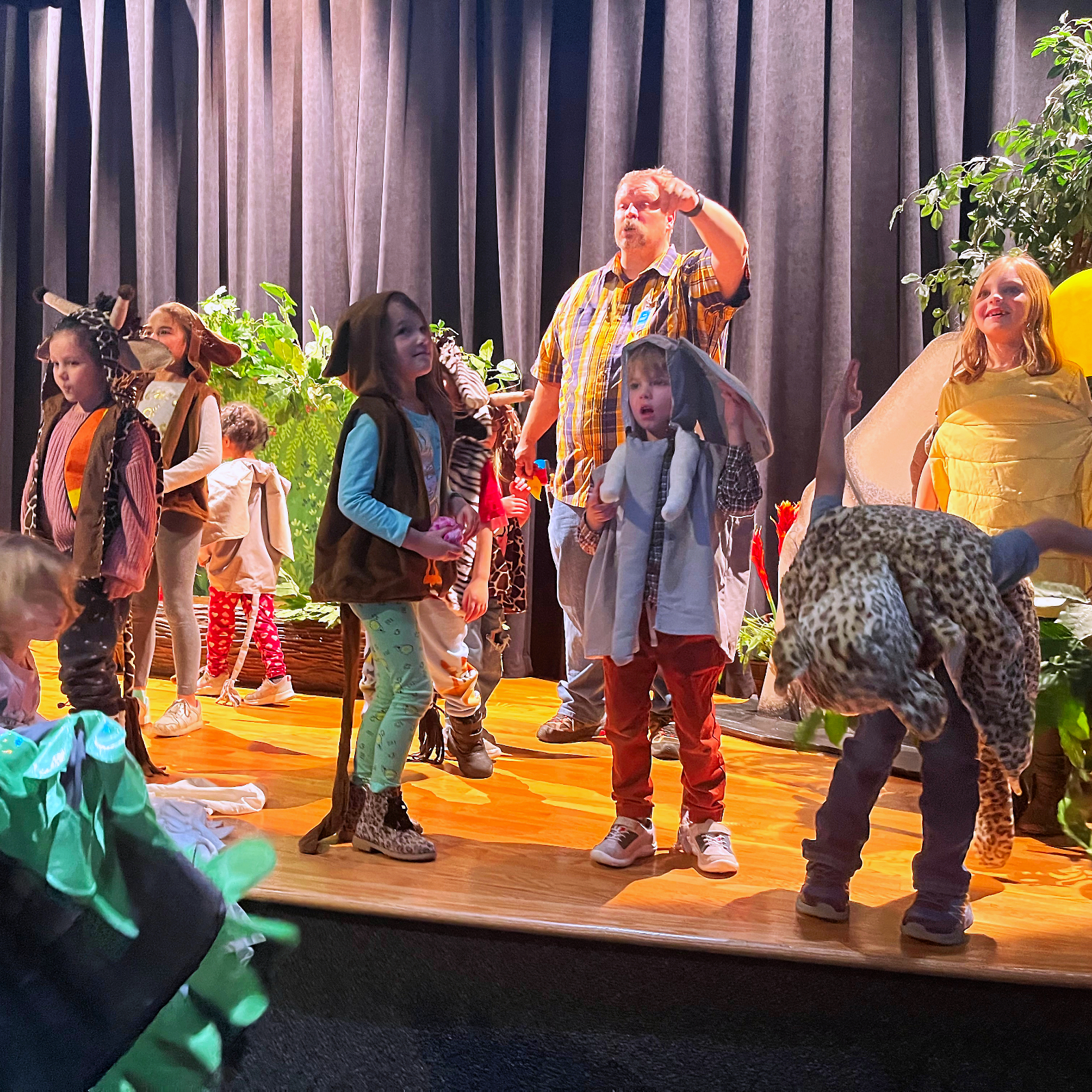 AnimalsONStage