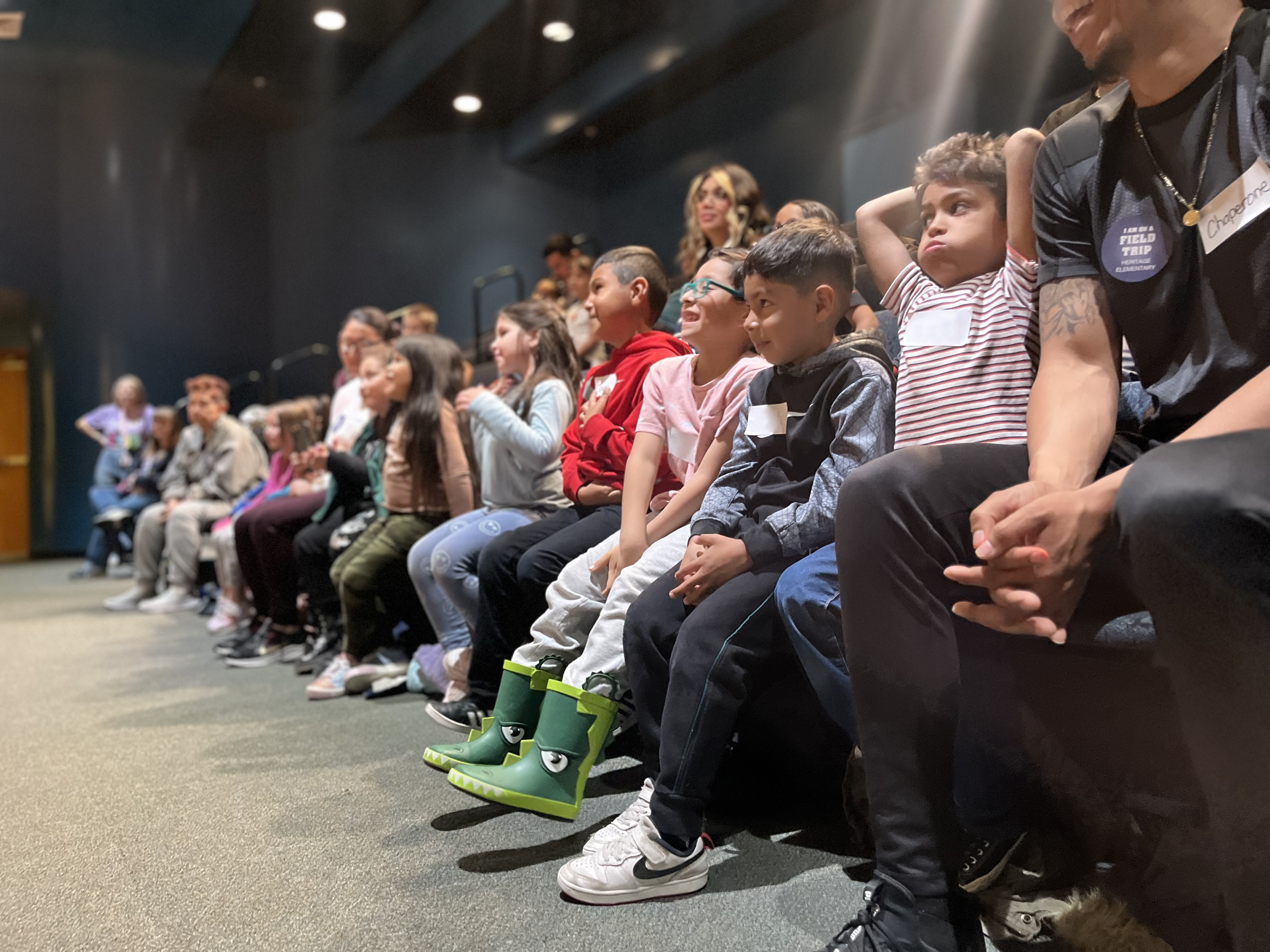 BlankedNamedAudience